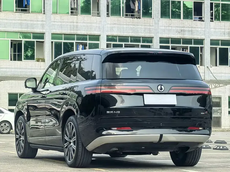 BYD N9 Denza N9 2025 flagship model 2025 — миниатюра 3