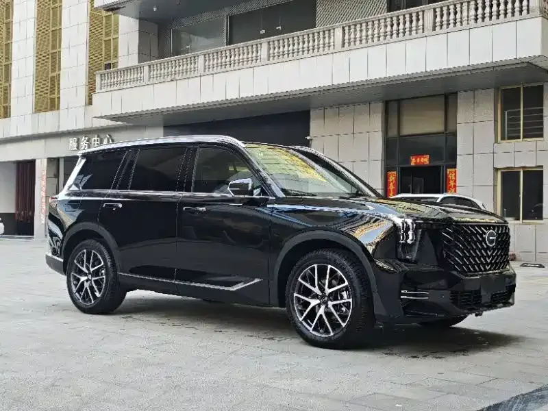 GAC Trumpchi GS8 Trumpchi GS8 2025 Pilot Series 2.0TGDI 2WD Luxury Edition 5 Seaters 2026 — миниатюра 3