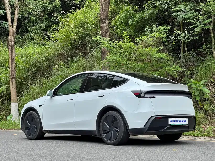 Tesla Model Y Model Y 2025 rear-wheel drive version 2025 — миниатюра 3