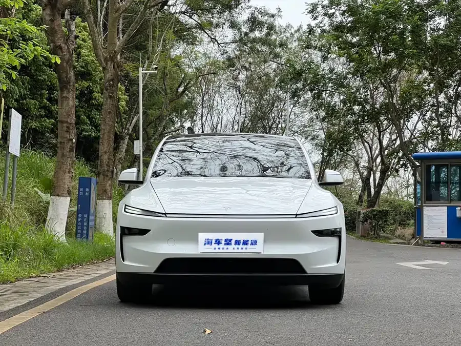 Tesla Model Y Model Y 2025 rear-wheel drive version 2025 — миниатюра 4