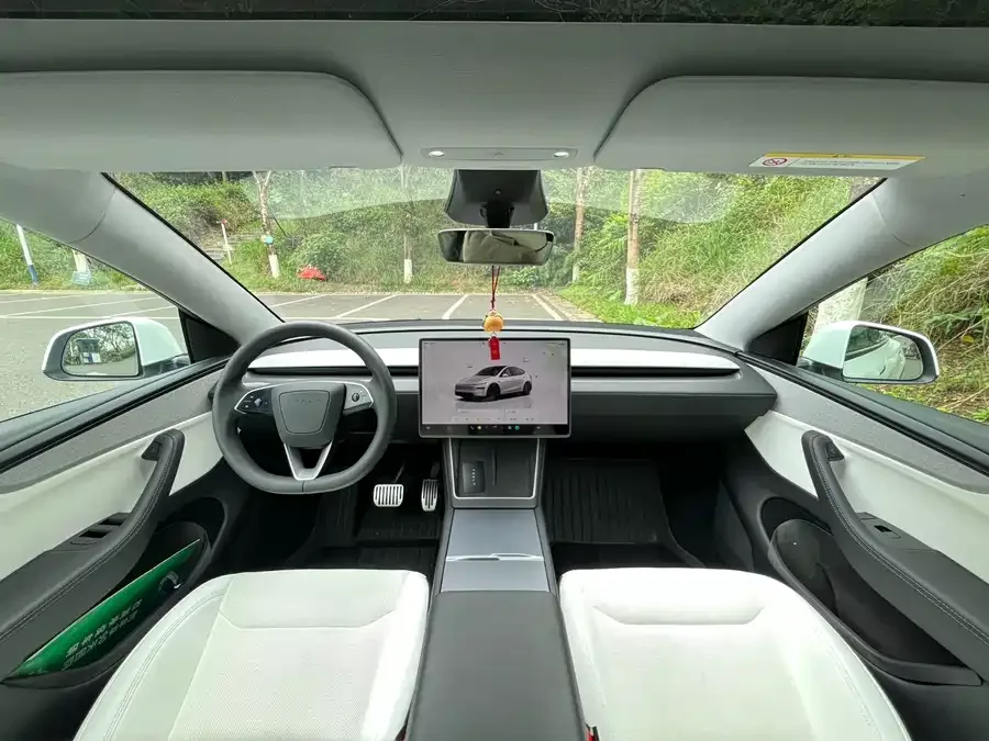 Tesla Model Y Model Y 2025 rear-wheel drive version 2025 — миниатюра 5