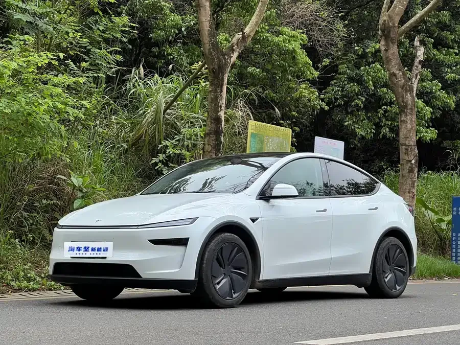 Tesla Model Y Model Y 2025 rear-wheel drive version 2025 — фото 1, купить с доставкой в Москву
