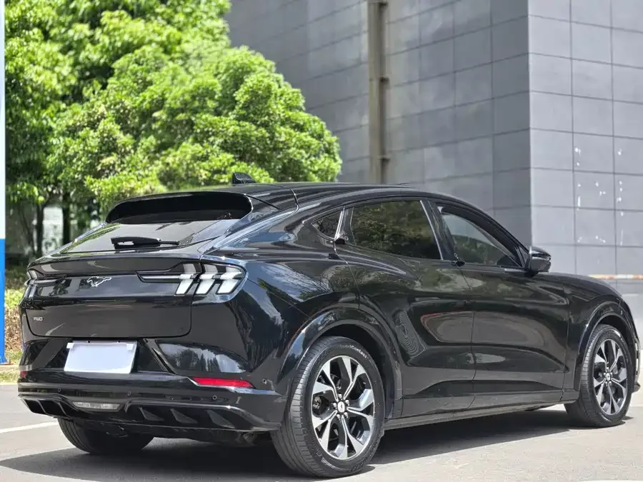Ford electric horse Ford Electric Horse 2021 Chasing Wind AWD Deluxe Edition (Long Range) 2023 — миниатюра 3