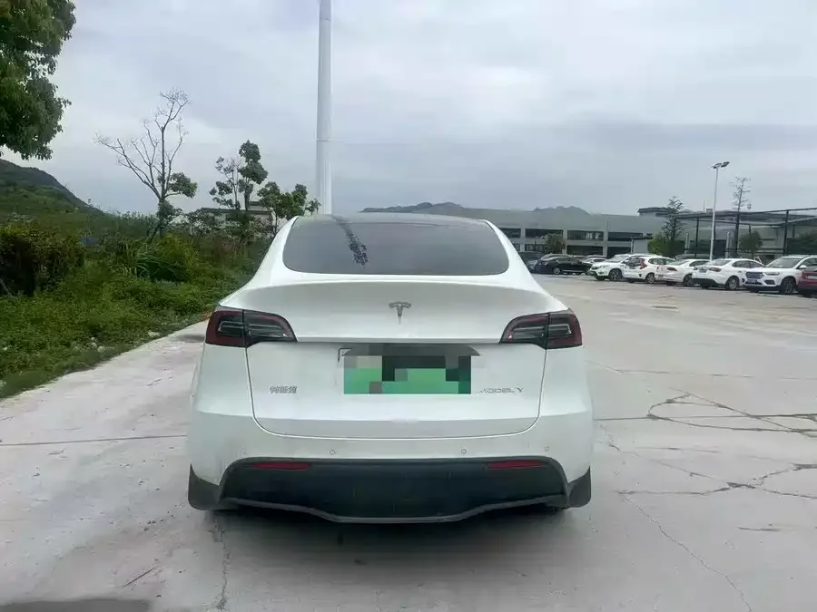 Tesla Model Y Model Y 2022 rear-wheel drive version 2022 — миниатюра 5