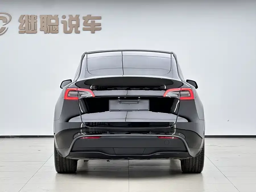 Tesla Model Y Model Y 2022 Long Range All-Wheel Drive Version 2022 — миниатюра 2