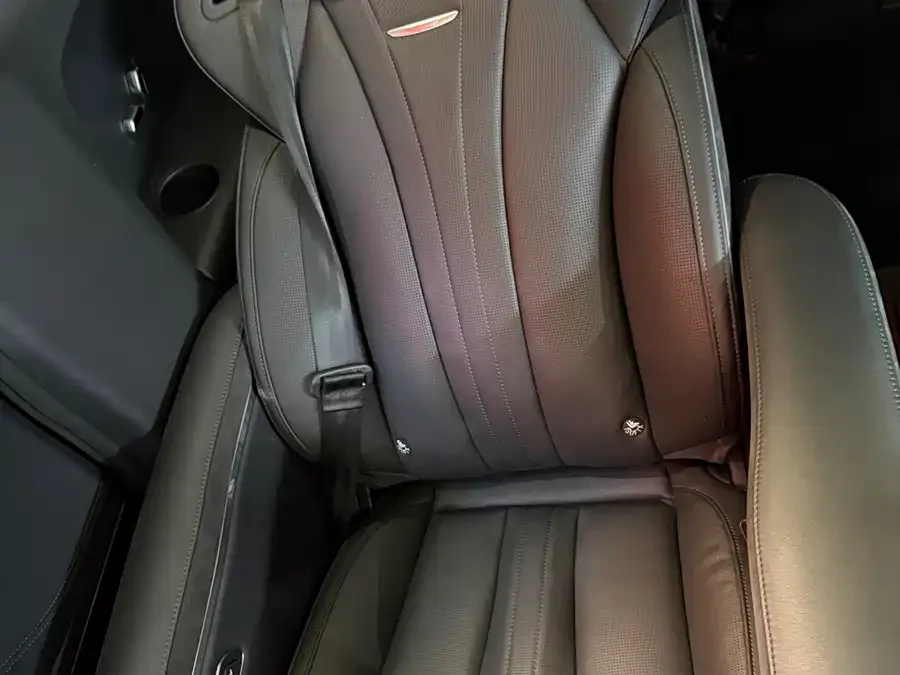 Hongqi HQ9 PHEV Hongqi HQ9 PHEV 2024 2.0T 4WD Luxury Edition 2024 — миниатюра 5