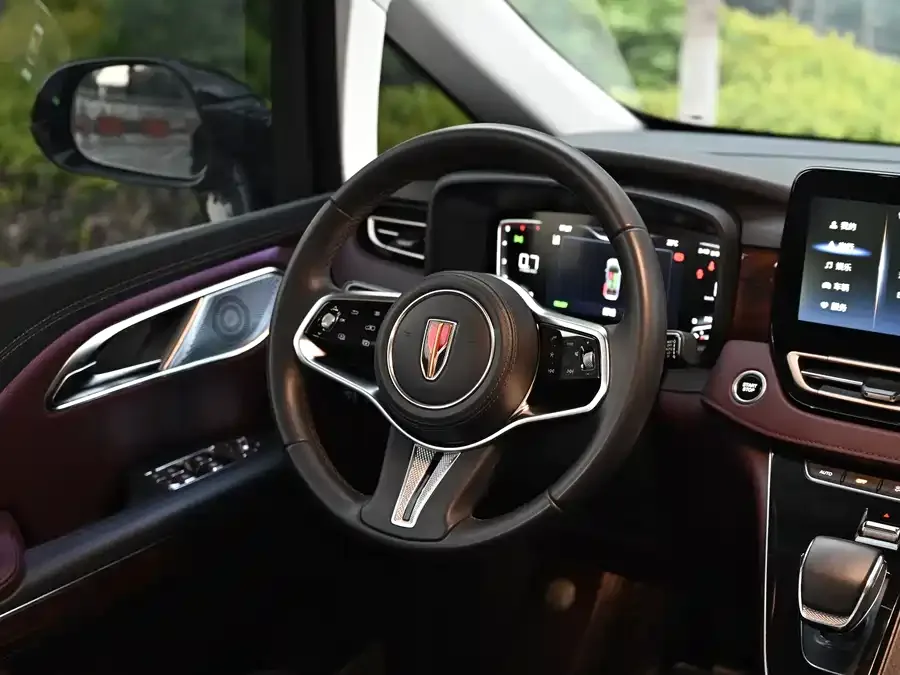 Hongqi HQ9 Hongqi HQ9 2023 2.0T Intelligent Connection Flagship Edition 2023 — миниатюра 4