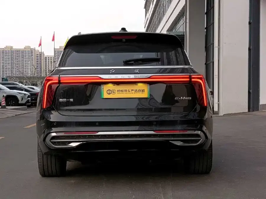 Hongqi E-HS9 Hongqi E-HS9 2022 660km flag collar version four seats 2023 — миниатюра 2