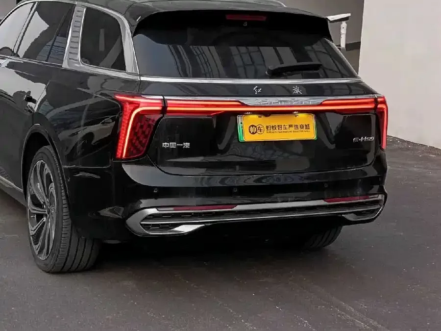 Hongqi E-HS9 Hongqi E-HS9 2022 660km flag collar version four seats 2023 — миниатюра 3