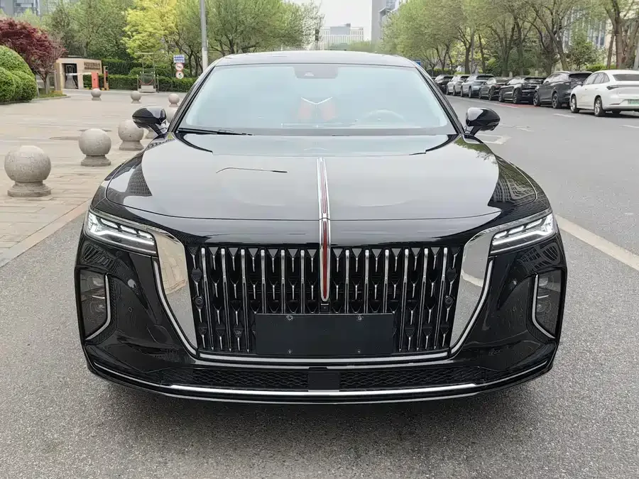 Hongqi H9 Hongqi H9 2025 2.0T 2WD Luxury Business Edition 5-seater 2025 — миниатюра 3