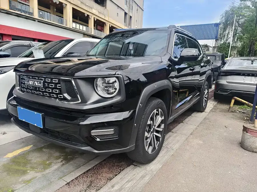 Haval Big Dog PLUS Haval Big Dog PLUS 2023 1.5T 2WD Trendy Wild Edition Plus 2024 — фото 1, купить с доставкой в Москву