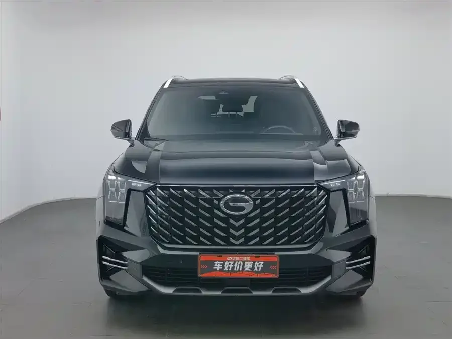 GAC Trumpchi GS8 Trumpchi GS8 2022 Pilot Series 2.0TGDI 2WD Premium Edition (7 Seaters) 2022 — миниатюра 3