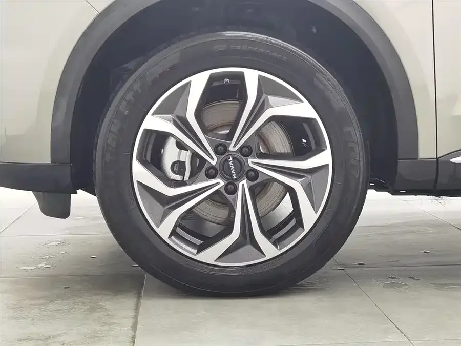 Haval Xiaolong MAX Haval Xiaolong MAX 2023 1.5L Hi4 105 4WD Pilot Edition 2023 — миниатюра 5