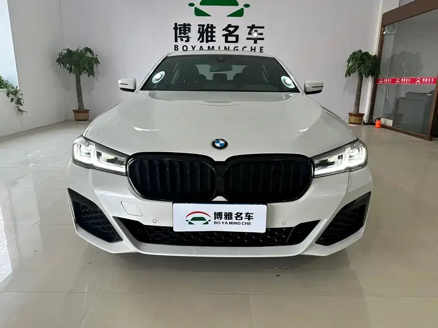 BMW 5 Series BMW 5 Series 2023 530Li Leading Luxury Package 2023 — фото 1, купить с доставкой в Москву