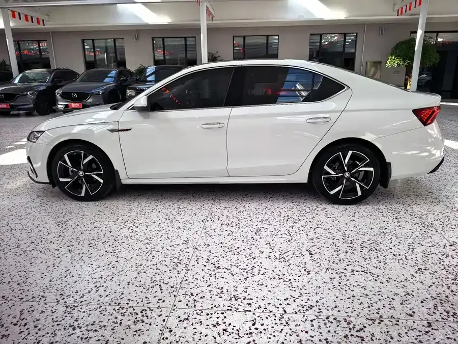 Skoda Octavia Octavia 2022 PRO TSI280 Premium Edition 2022 — миниатюра 2