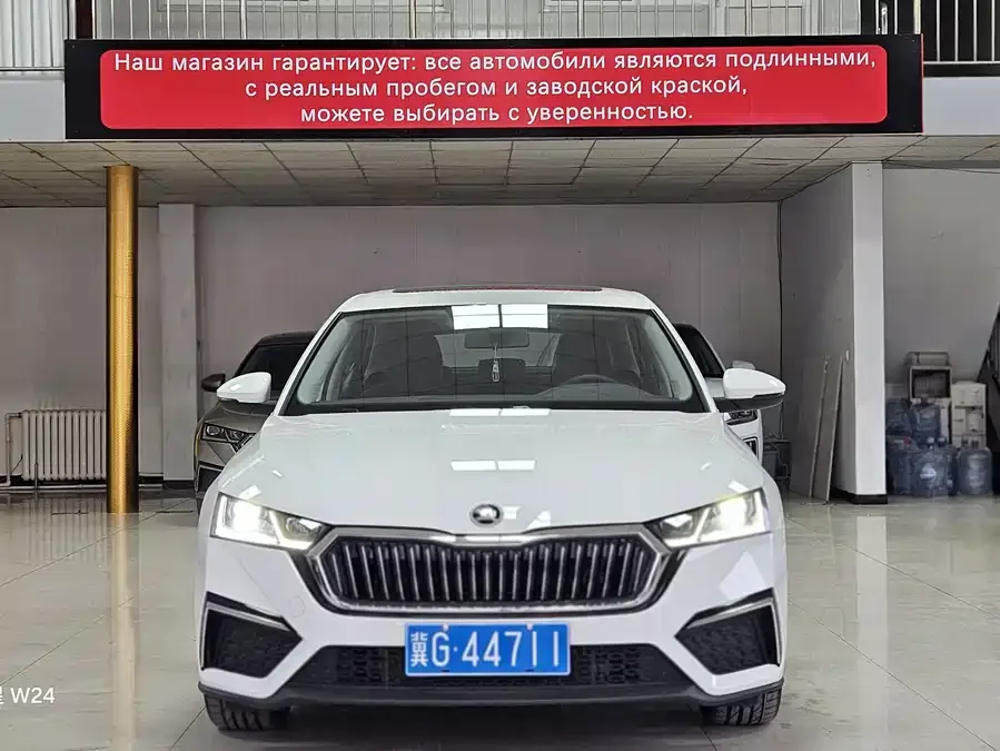 Skoda Octavia Octavia 2024 PRO TSI280 Premium Edition 2023 — фото 1, купить с доставкой в Москву