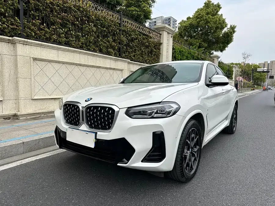 BMW X4 2022 xDrive 25i M Sport Package 2022 — фото 1, купить с доставкой в Москву