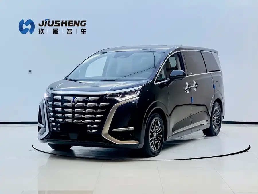 BYD D9 2024