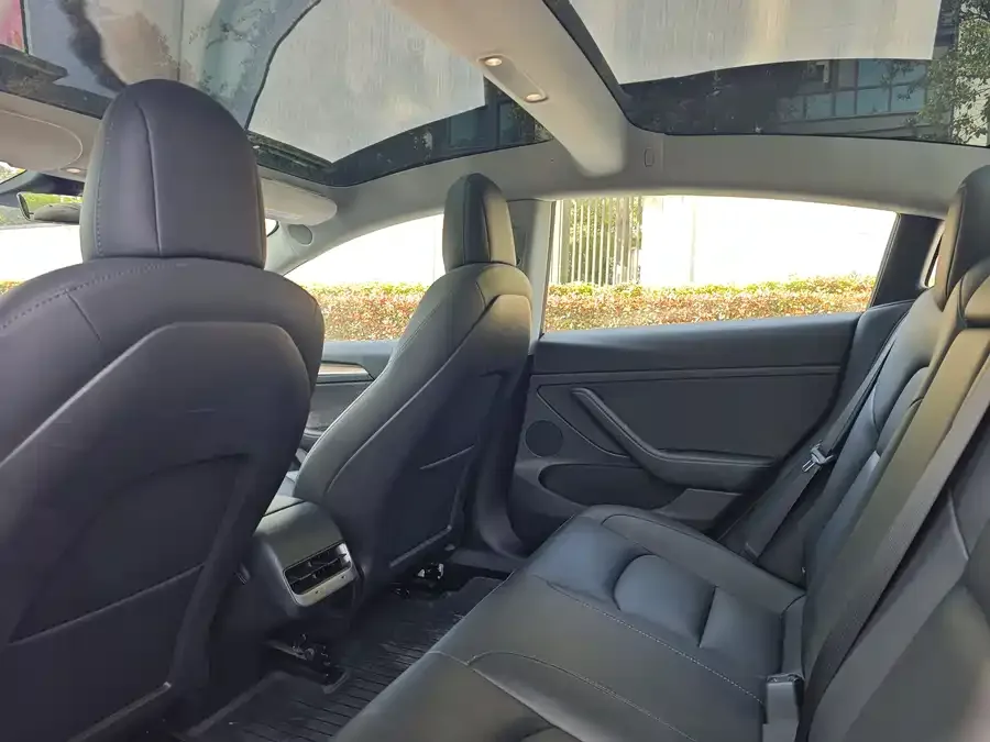 Tesla Model 3 Model 3 2022 rear-wheel drive version 2023 — миниатюра 2