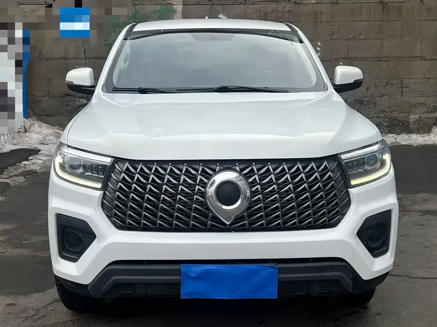 Great Wall gun 2023 Pao 2.0T Commercial Edition Manual Diesel Four-Wheel Drive Elite Standard Box GW4D20M 2023 — фото 1, купить с доставкой в Москву