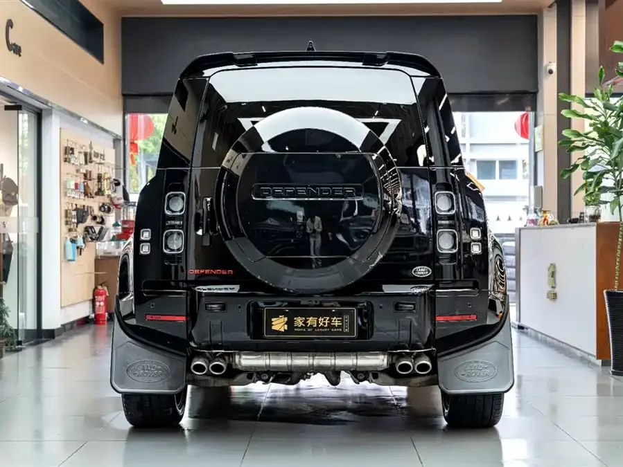 Land Rover guard Land Rover Defender 2024 110 5.0T V8 2025 — миниатюра 2