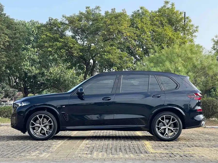 BMW X5 2023 xDrive 30Li Exclusive M Sport Night Edition 2024 — миниатюра 5