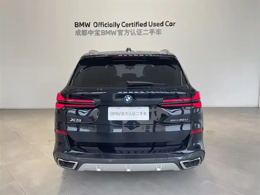 BMW X5 2023 xDrive 30Li Exclusive M Sport Package 2024 — миниатюра 5