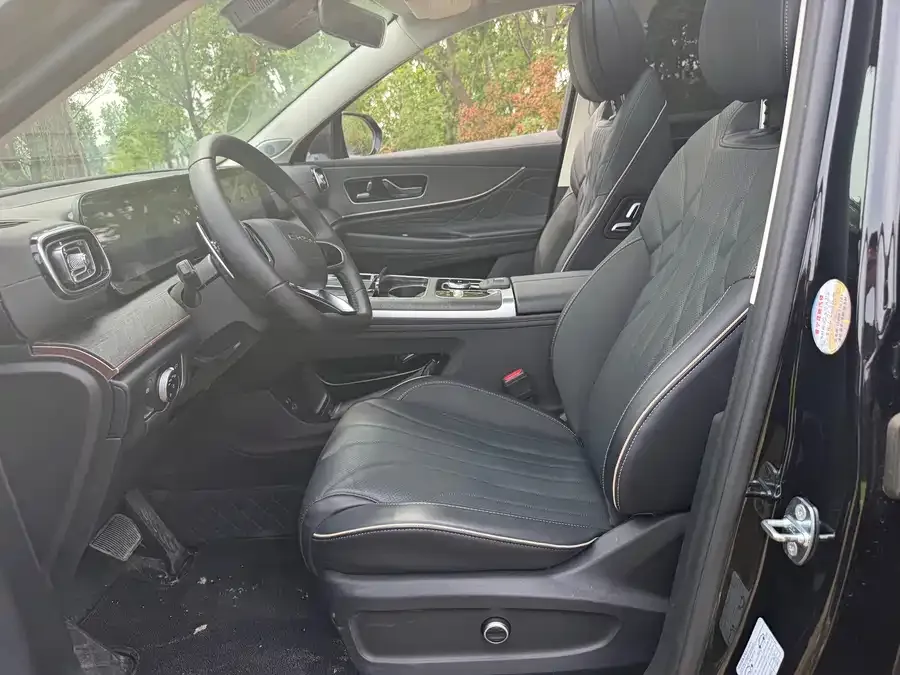 Chery Tiggo 9 Tiggo 9 2023 2.0T dual-clutch 2WD premium version 5 seats 2024 — миниатюра 4