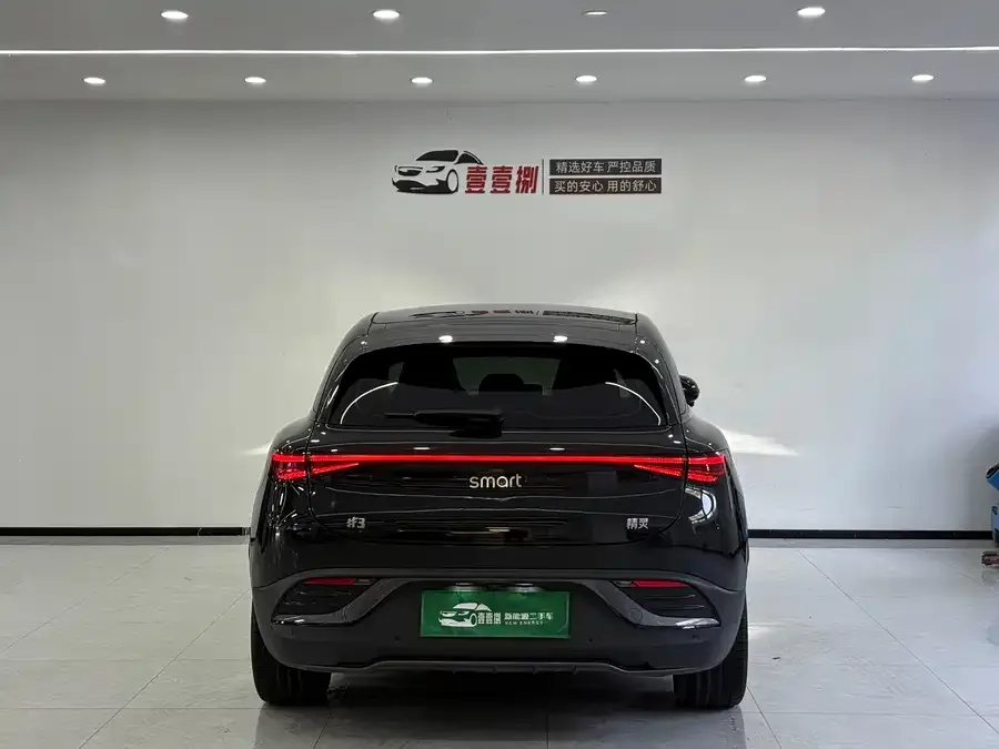 Smart Elf #3 Smart Elf #3 2023 Pro+ Edition 2023 — миниатюра 3