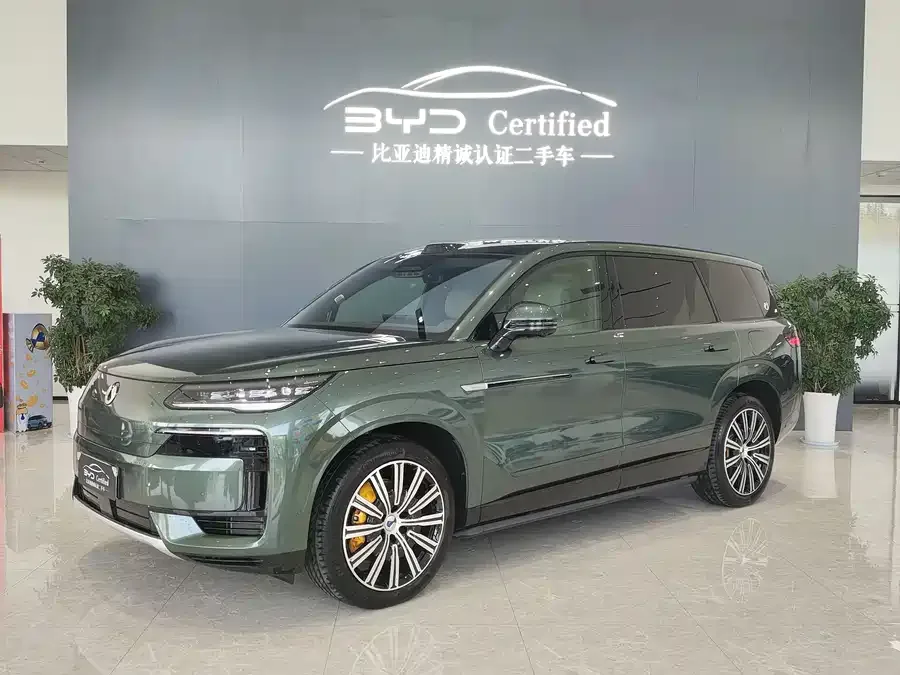 BYD N9 2025