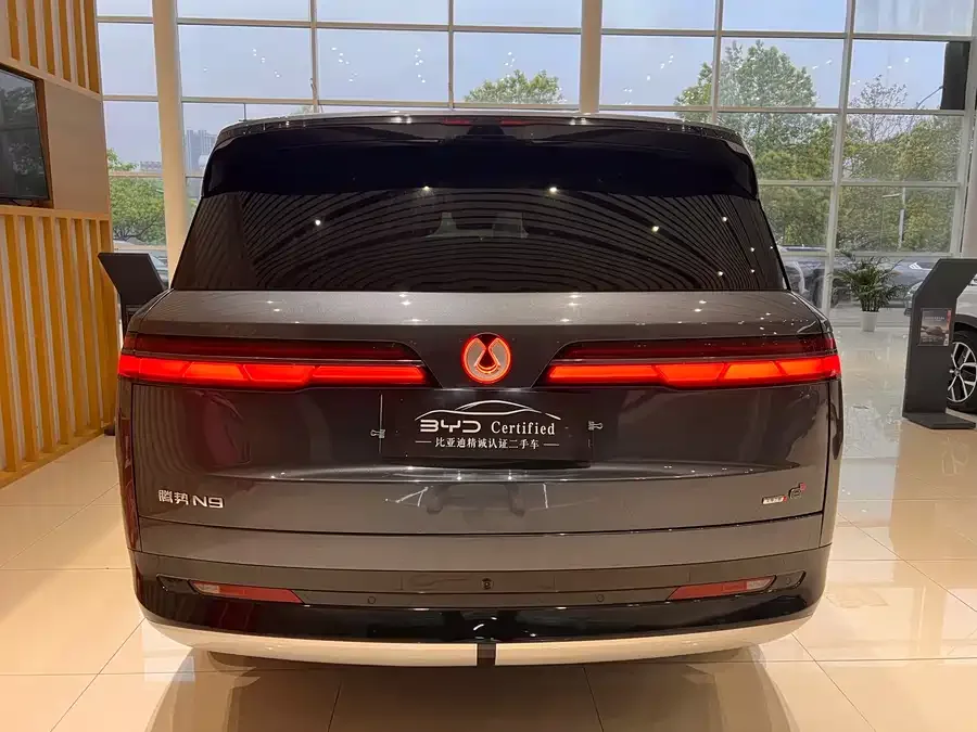 BYD N9 Denza N9 2025 flagship model 2025 — миниатюра 5