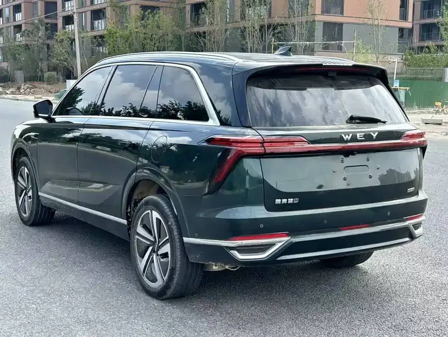 WEY Blue Mountains Wei Brand Blue Mountain 2025 4WD Max 2025 — миниатюра 4