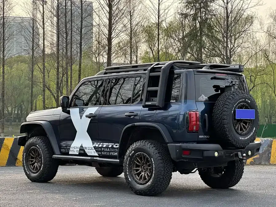 Tank 300 Tank 300 2021 Off-Road Edition 2.0T Conqueror 2022 — миниатюра 2