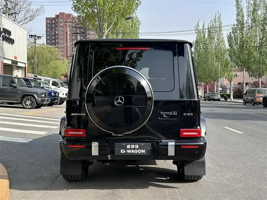 Mercedes-Benz G-Class AMG Mercedes-Benz G-Class AMG 2023 AMG G 63 2024 — миниатюра 2