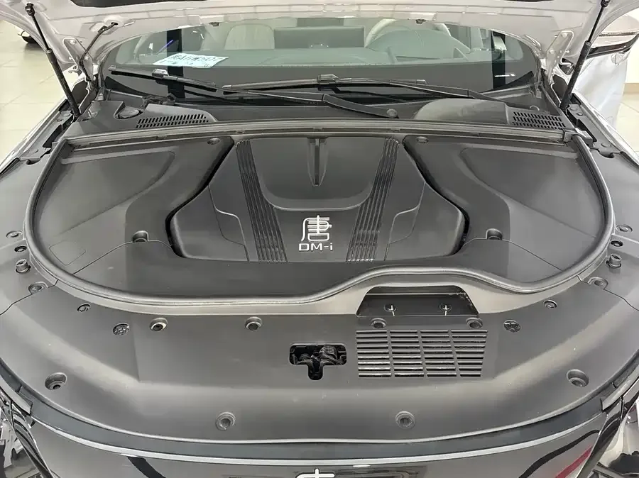 BYD Tang New Energy Tang New Energy 2025 Intelligent Driving Edition DM-i 115KM Flagship 2025 — миниатюра 4