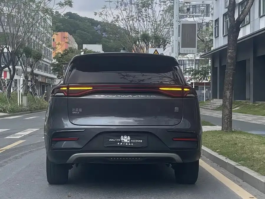 BYD Tang New Energy Tang New Energy 2021 DM-i 112KM Premium Edition 2023 — миниатюра 2