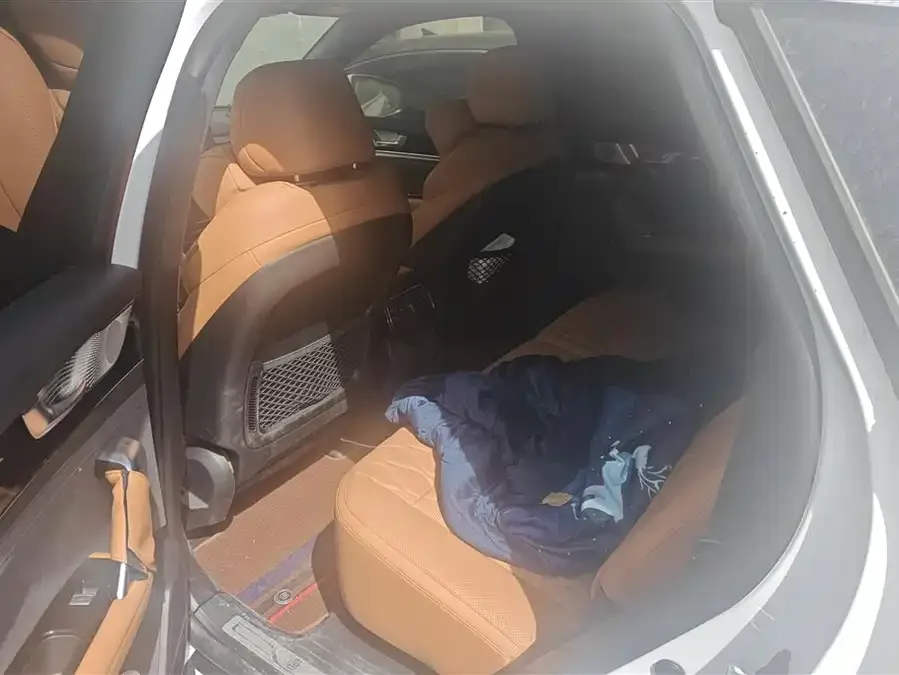 BYD Tang New Energy Tang New Energy 2023 DM-i Champion Edition 112KM Honor Edition 2023 — миниатюра 5