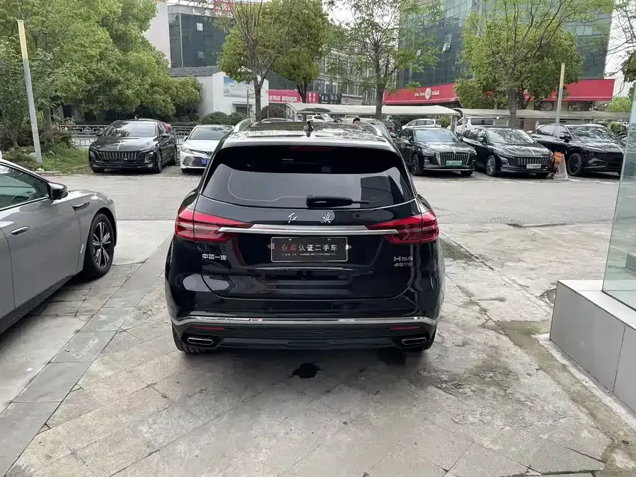 Hongqi HS5 Hongqi HS5 2022 2.0T Zhilian Flagship Edition 2023 — миниатюра 5
