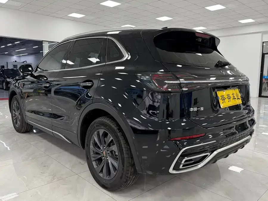 Hongqi HS5 Hongqi HS5 2025 2.0T 2WD Flagship Enjoy Pro Edition 2025 — миниатюра 5