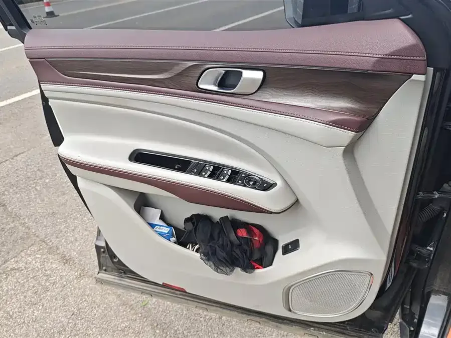 Ford Lingyu Lingyu 2021 EcoBoost 225 Zunling Edition 7 Seaters 2022 — миниатюра 4