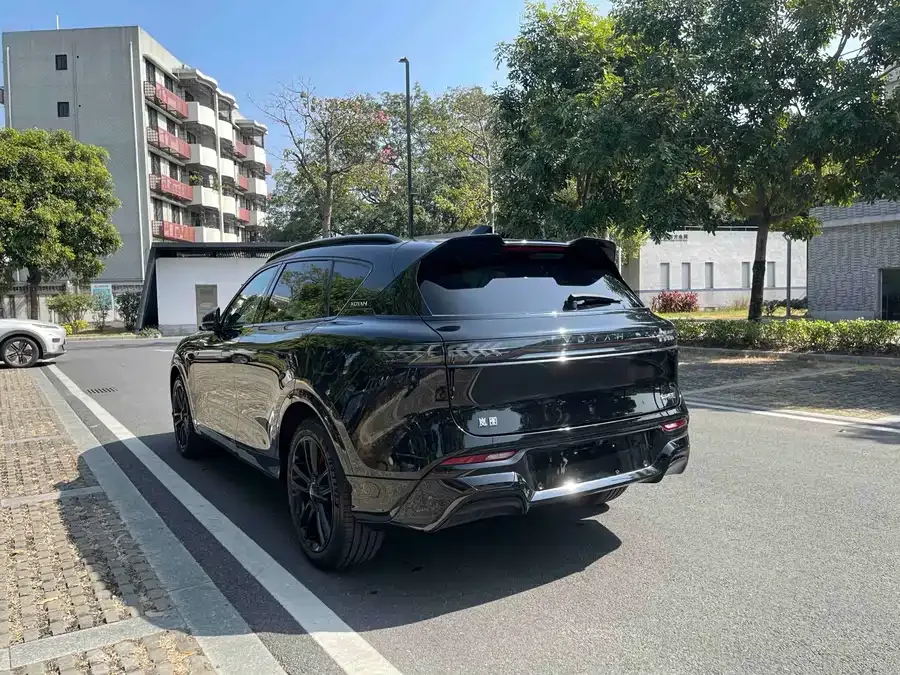 Voyah Lantu FREE VOYAH FREE 2025 318 318km RWD Touring Edition 2024 — миниатюра 4