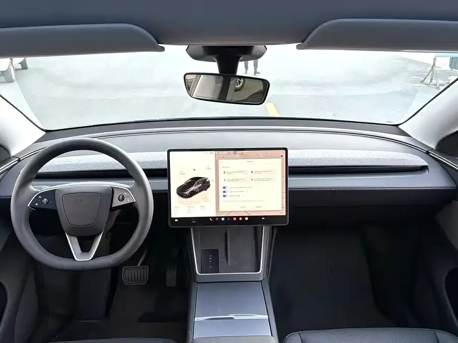 Tesla Model Y Model Y 2025 rear-wheel drive first edition 2025 — миниатюра 2