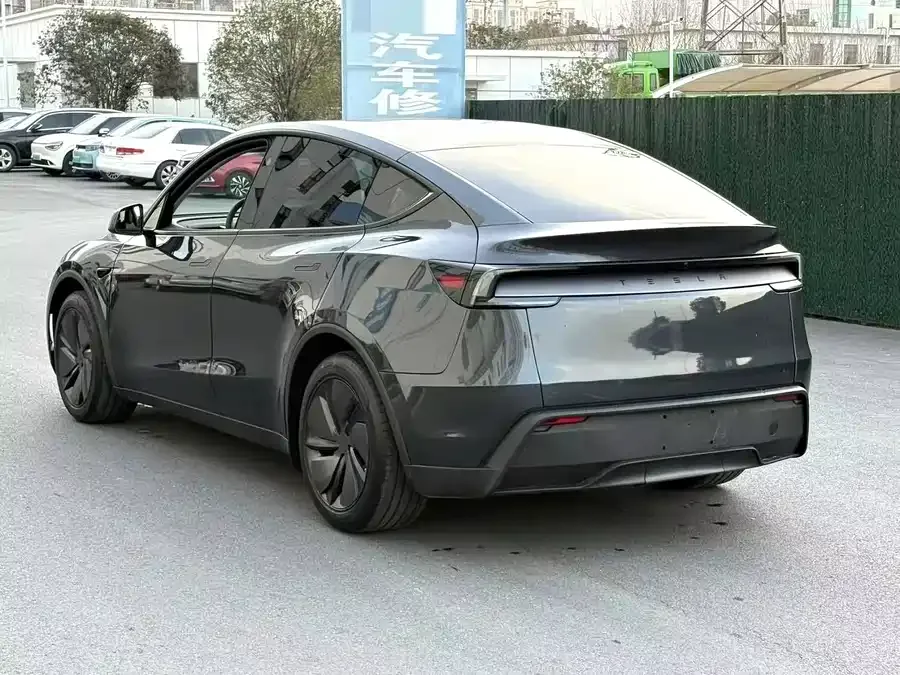 Tesla Model Y Model Y 2025 rear-wheel drive first edition 2025 — миниатюра 3