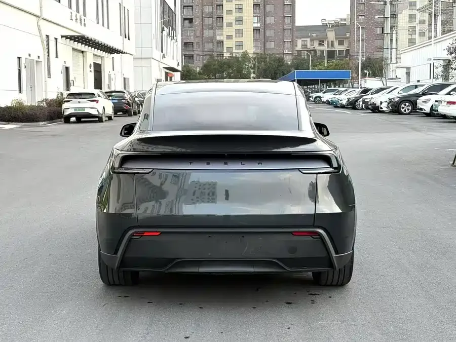 Tesla Model Y Model Y 2025 rear-wheel drive first edition 2025 — миниатюра 5