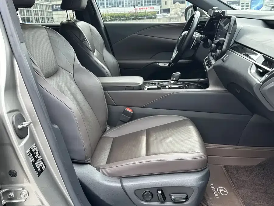 Lexus RX New Energy 2023 450h+ 4WD Enjoy Edition 2023 — миниатюра 4
