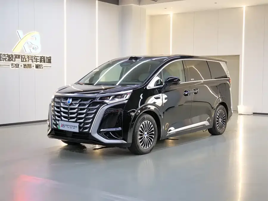 BYD D9 2025