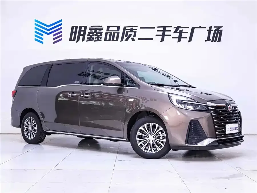 Buick GL8 2023 facelift land business class luxury model 2023 — миниатюра 2