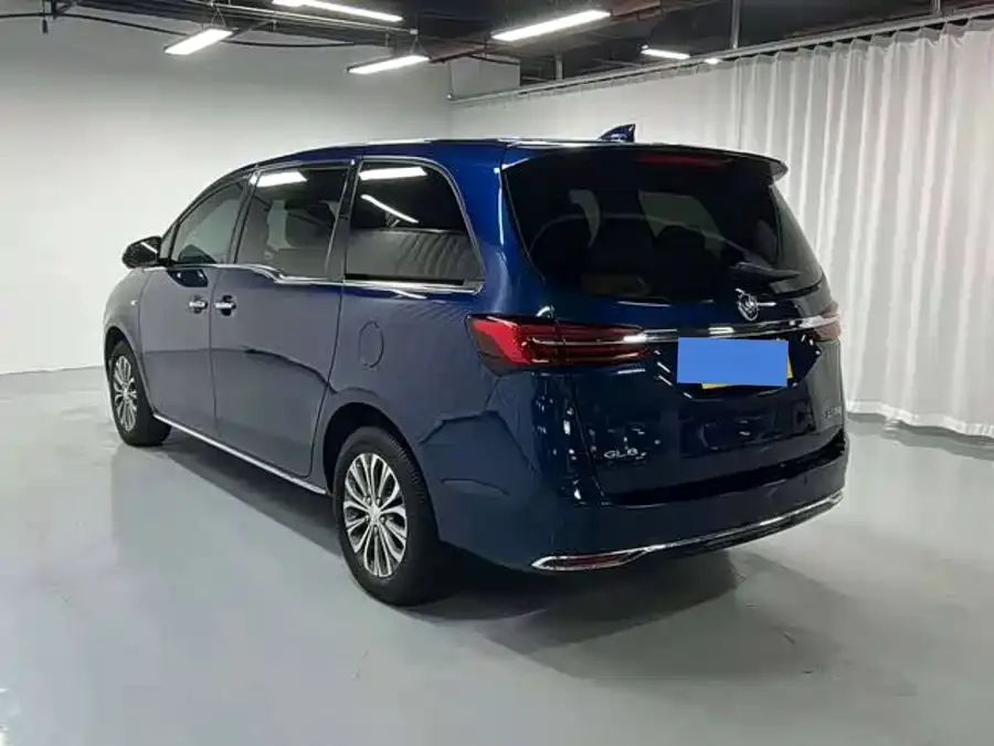 Buick GL8 2023 Land Business Class 652T Luxury Edition 2023 — миниатюра 5