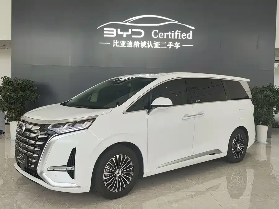 BYD D9 2025