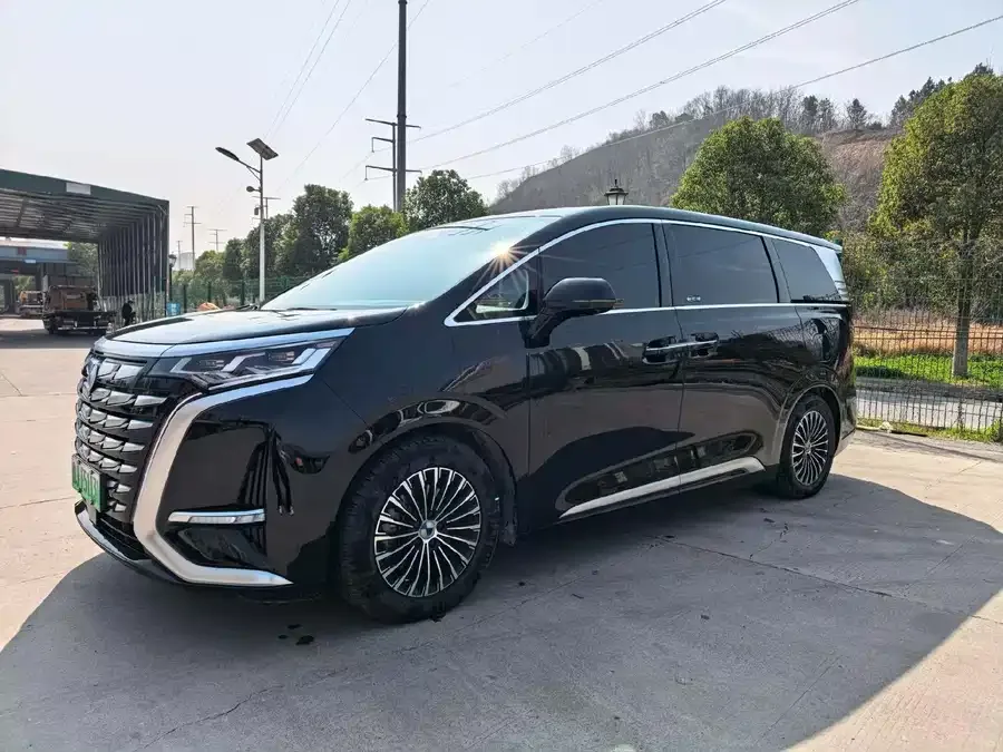 BYD D9 2024